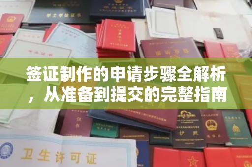 定边签证制作的申请步骤全解析，从准备到提交的完整指南