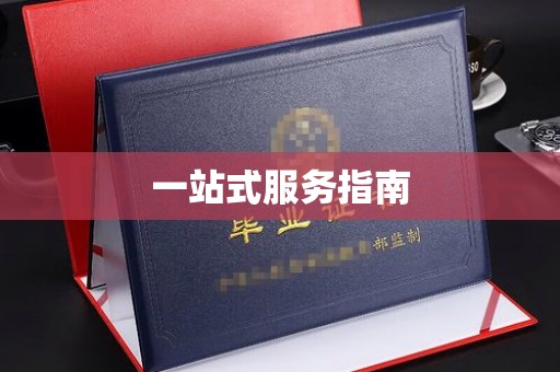 定边一站式服务指南