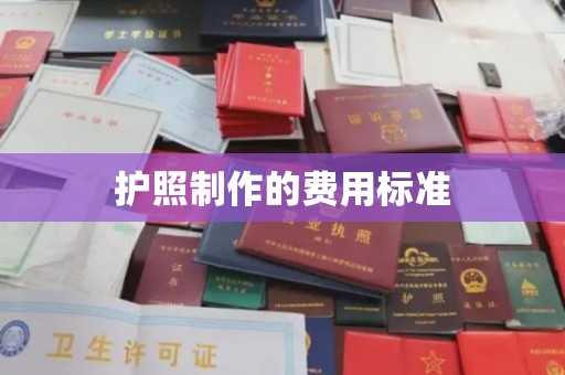 定边护照制作的费用标准