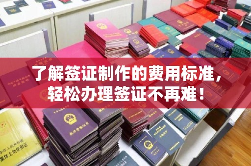 定边了解签证制作的费用标准，轻松办理签证不再难！