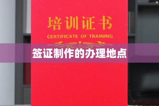 定边签证制作的办理地点