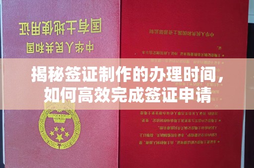 定边揭秘签证制作的办理时间，如何高效完成签证申请