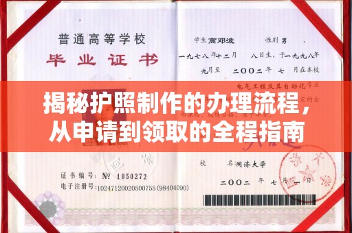 定边揭秘护照制作的办理流程，从申请到领取的全程指南