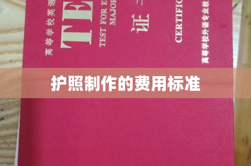 定边护照制作的费用标准