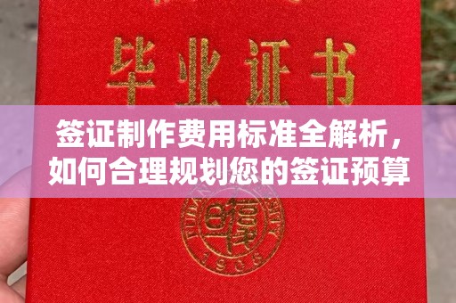定边签证制作费用标准全解析，如何合理规划您的签证预算？